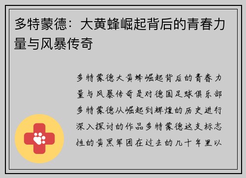 多特蒙德:大黄蜂崛起背后的青春力量与风暴传奇 多特蒙德:大黄蜂崛起背后的青春力量与风暴传奇