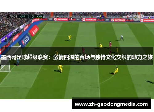 墨西哥足球超级联赛：激情四溢的赛场与独特文化交织的魅力之旅